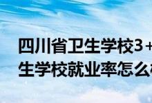 四川省卫生学校3+2专业（2022四川宜宾卫生学校就业率怎么样）