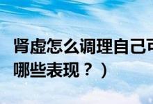 肾虚怎么调理自己可以恢复么？（肾虚都会有哪些表现？）