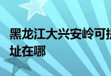 黑龙江大兴安岭可提供科密投影机维修服务地址在哪