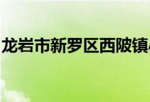 龙岩市新罗区西陂镇小洋村幼儿园的地址在哪