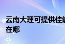 云南大理可提供佳能激光打印机维修服务地址在哪