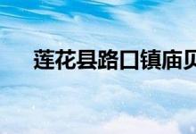 莲花县路口镇庙贝村幼儿园的地址在哪