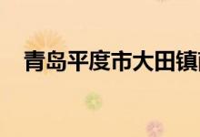 青岛平度市大田镇南希望小学的地址在哪