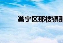 邕宁区那楼镇那务小学的地址在哪