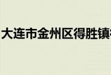 大连市金州区得胜镇得胜村幼儿园的地址在哪