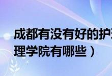 成都有没有好的护理学院（2022成都市的护理学院有哪些）