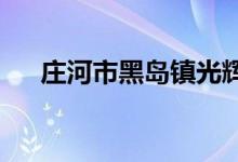 庄河市黑岛镇光辉村幼儿园的地址在哪