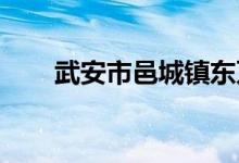 武安市邑城镇东万善小学的地址在哪