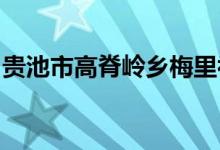 贵池市高脊岭乡梅里初级职业中学的地址在哪