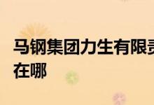 马钢集团力生有限责任公司第一幼儿园的地址在哪