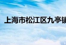 上海市松江区九亭镇中心幼儿园的地址在哪