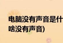 电脑没有声音是什么原因(电脑扬声器100为啥没有声音)