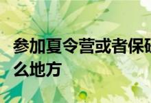 参加夏令营或者保研的时候提交材料作用在什么地方