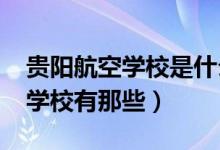 贵阳航空学校是什么学校（2022贵阳的航空学校有那些）