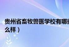 贵州省畜牧兽医学校有哪些（2022年贵州省畜牧兽医学校怎么样）