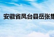 安徽省凤台县岳张集镇观音中学的地址在哪