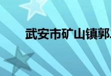 武安市矿山镇郭二庄小学的地址在哪