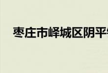 枣庄市峄城区阴平镇中心小学的地址在哪