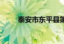 泰安市东平县第四中学的地址在哪