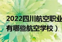 2022四川航空职业学院招生条件（2022四川有哪些航空学校）