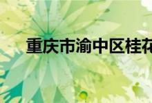 重庆市渝中区桂花园幼儿园的地址在哪