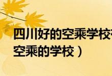 四川好的空乘学校有哪些（2022四川有哪些空乘的学校）