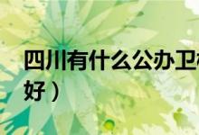 四川有什么公办卫校（2022四川有哪些卫校好）