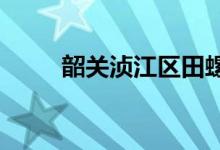 韶关浈江区田螺冲中学的地址在哪