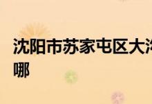 沈阳市苏家屯区大沟九年一贯制学校的地址在哪