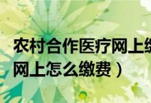 农村合作医疗网上缴费怎么交（农村合作医疗网上怎么缴费）