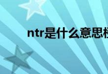 ntr是什么意思梗（ntr意思梗解析）