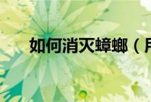 如何消灭蟑螂（用这四个方法来消灭）