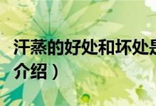 汗蒸的好处和坏处是什么（汗蒸的好处和坏处介绍）