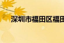 深圳市福田区福田村幼儿园的地址在哪