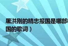 屠洪刚的精忠报国是哪部电视剧的主题曲（屠洪刚的精忠报国的歌词）