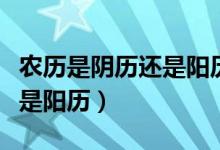 农历是阴历还是阳历简单理解（农历是阴历还是阳历）