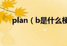 plan（b是什么梗 plan b是什么意思）