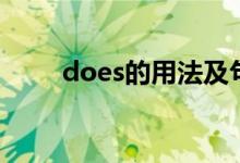 does的用法及句型（does的用法）