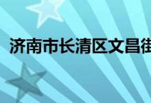 济南市长清区文昌街道新屯小学的地址在哪