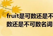 fruit是可数还是不可数如何区分（fruit是可数还是不可数名词）