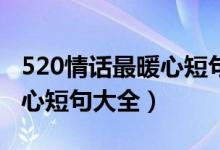 520情话最暖心短句告白50句（520情话最暖心短句大全）