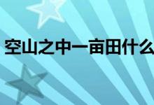 空山之中一亩田什么意思（空山之中一亩田）