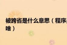 被跨省是什么意思（程序员接私活被跨省程序员外包要注意啥）