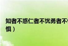 知者不惑仁者不忧勇者不惧全文（知者不惑仁者不忧勇者不惧）