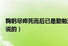 鞠躬尽瘁死而后已是勤勉还是忠诚（鞠躬尽瘁死而后已是谁说的）