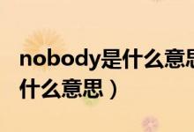 nobody是什么意思中文翻译（英语nobody什么意思）