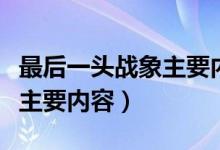 最后一头战象主要内容是什么（最后一头战象主要内容）