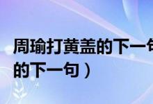 周瑜打黄盖的下一句谚语歇后语（周瑜打黄盖的下一句）