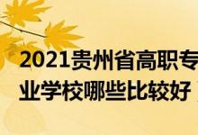 2021贵州省高职专科学校排名（2022贵州职业学校哪些比较好）