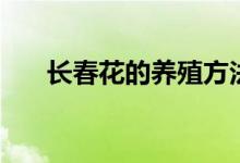 长春花的养殖方法（如何养殖长春花）